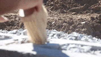 Cleaning Broom GIF by JC Property Professionals