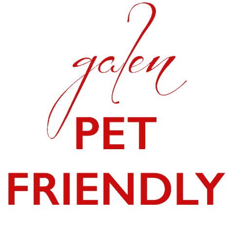 Bodrum Galen Sticker by GalenTurkbuku