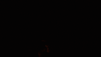 GIF by MUTEK.MX