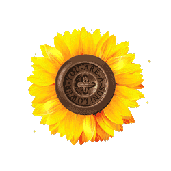 Sunflower Sticker by Saja Art Design