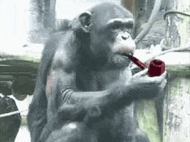 200_s.gif
