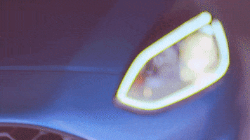 Ford Sascar GIF