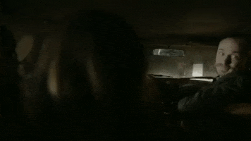 Driving Road Trip GIF by Sea Wolf