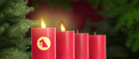 Christmas Advent GIF by Nettodeutschland
