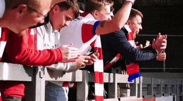 Fans Celebrate GIF by Dorking Wanderers Football Club