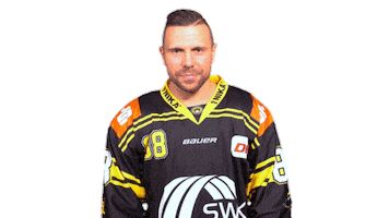 Fight Celebration Sticker by Krefeld Pinguine