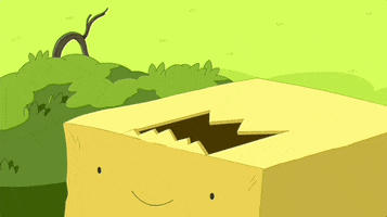 Cat GIF