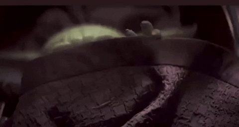  yoda baby yoda mandalorian babyyoda GIF