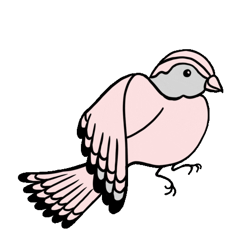 Curran Sticker