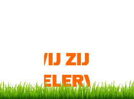 Voetbalvereniging Lemelerveld Sticker