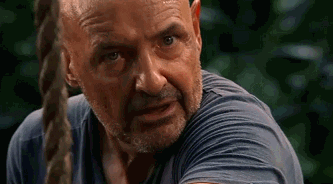giphy.gif?cid=790b76115ce5fe6b3634624c6f349546&rid=giphy.gif