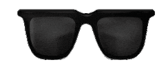 Style Sunglasses Sticker by SOCOTRA