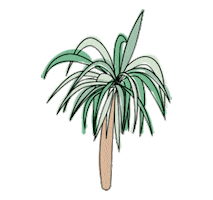 Skincare Cleansing Sticker by SKINWORK