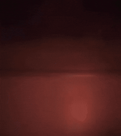 Spring Cleaning GIF