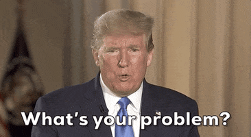 Donald Trump Whats Your Problem GIF by GIPHY News