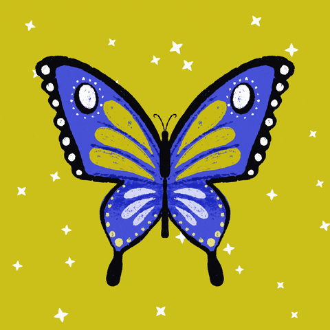 Excited Butterfly GIF