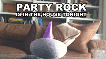 party rock GIF