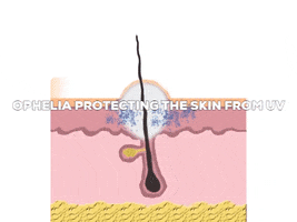 How Spf30 Works GIF