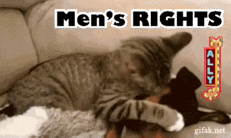Mens Rights GIF