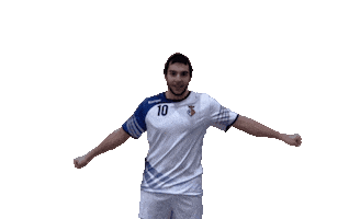 Goool Sticker by Club Handbol Sant Esteve de Palautordera