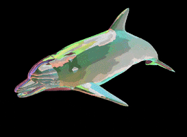 processing dolphin GIF by Adam Ferriss
