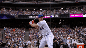 Ny Mets Alonso GIF by New York Mets