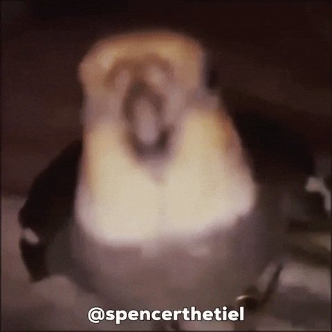 Fashion Instagram GIF