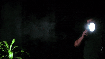 Tools420 GIF
