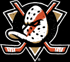 Playoffs GIF by Anaheim Ducks