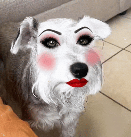 Son Kiss GIF