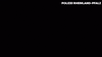Well Done Reaction GIF by Polizei Rheinland-Pfalz