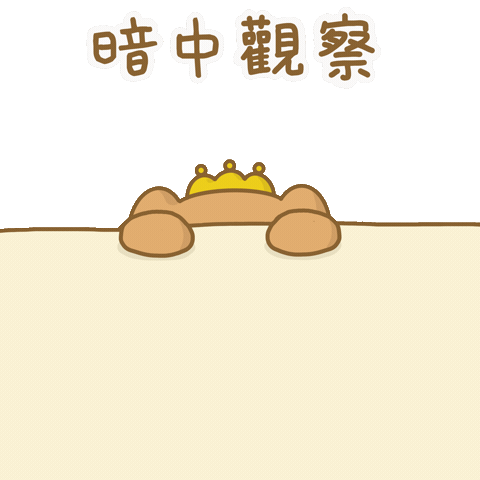 Cat Sticker