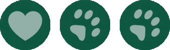 VirtusPet Sticker