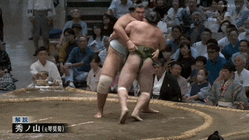 Sumo GIF