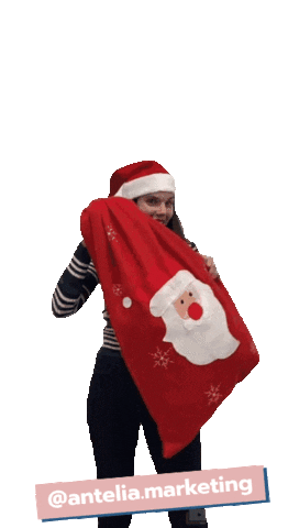 Christmas Noel Sticker by AnteliaMarketing