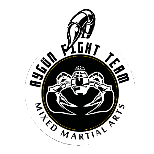 aygungym Sticker
