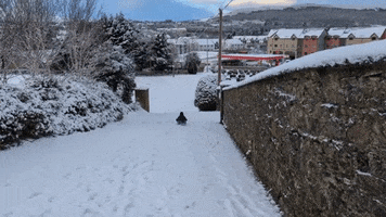 Sledding First Snow GIF by Storyful