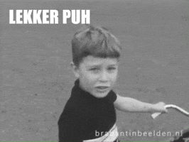 Plagen GIF by BrabantinBeelden