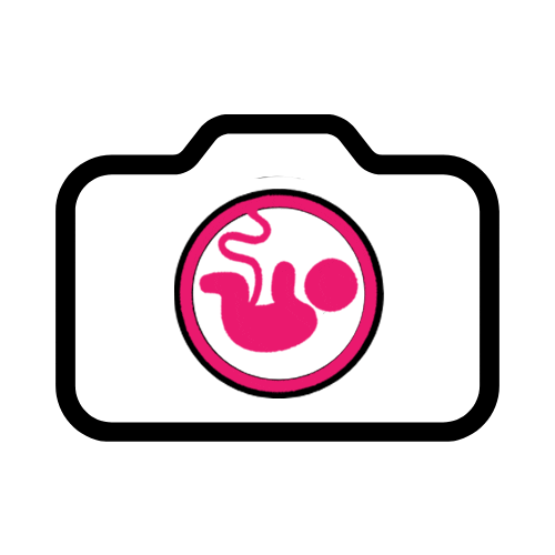 De Geboortefotograaf Sticker