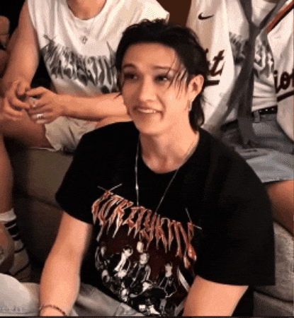 Stray Kids Skz GIF