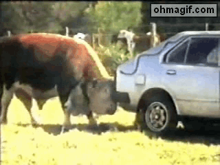 Car Attacking GIF