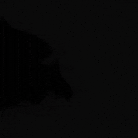 Sigma Funny Cat GIF