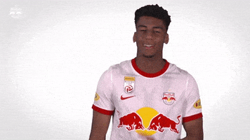 Red Bull Sport GIF by FC Red Bull Salzburg