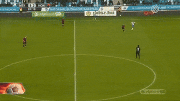 meszolysaman  GIF