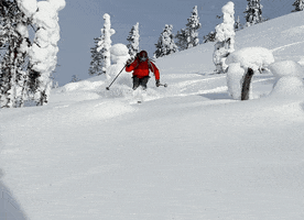 GIF by Hand Job Gloves