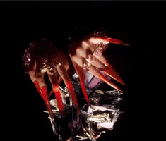 Lady Gaga - Σελίδα 15 200.gif?cid=b86f57d3b269df91x2iuvw5uyvh6dl34bnad5nfugvvw8zzt&rid=200