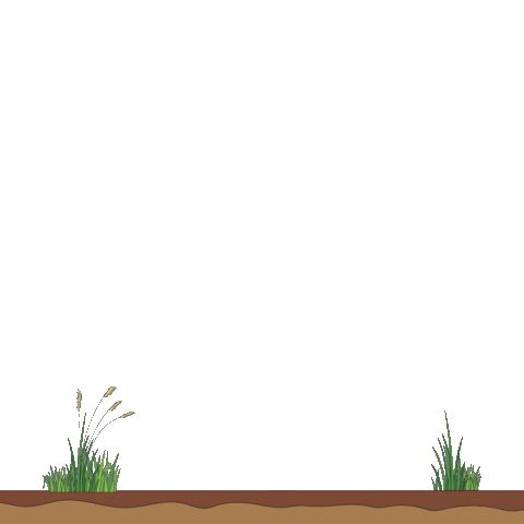 Trees Nikinclothing Sticker by NIKIN