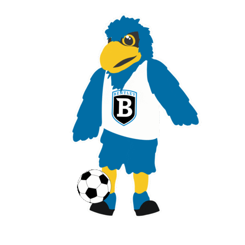 Soccer Futbol Sticker by Bentley University