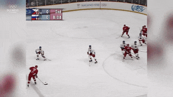 Гашек GIF