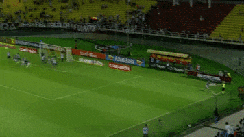 leandroalves  GIF